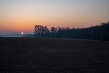 sunrise on a field ready for seedlings with trees in the background