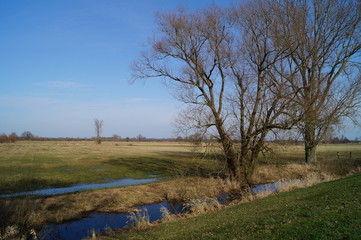Natur im Fr&uuml;hling 