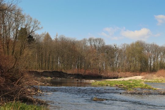 Bank and surface of meander of Odra river in Stary Bohumin in Czech Republic