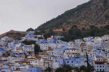 blue marocco 