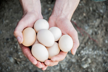 chicken eggs in the hands. easter party supplies
