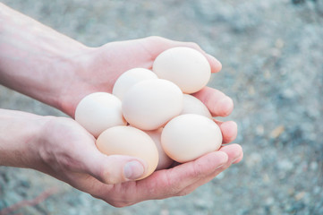 chicken eggs in the hands. easter party supplies