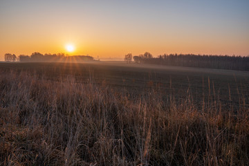 Field at sunrise with a little fog and beautiful colors in spring