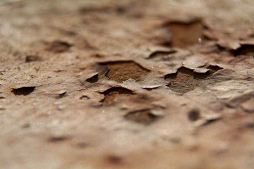 Rust on a metal railing, white, textures