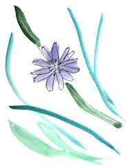 Blue flower watercolor hand drawn on white background 