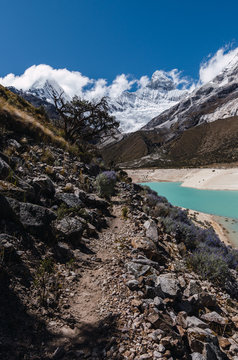 Trekking path with tree in the turquoise lagoon of paron and with snowy high mountain peaks in the background, peru