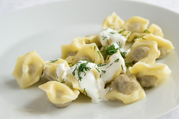 dumplings under sour cream