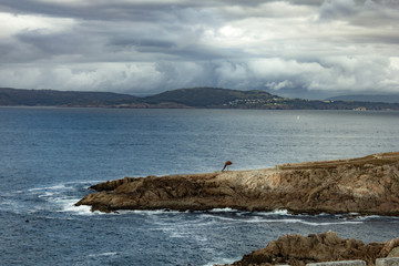 Galicia in summer with greenery and clear skies