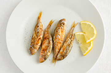 fried red mullets with lemon
