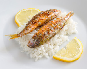 fried surmullets garnished with rice and lemon