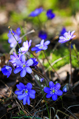 secrets of our nature