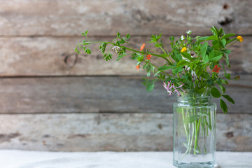 Meadow natural wildflowers bouquet in glass jar on wooden rustic background. Herbal medicine and phytoterapy concept. Country style life concept.
