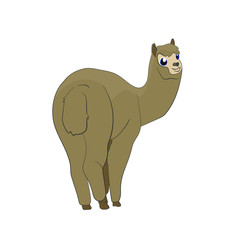 Alpaca. Cute alpaca art vector. Animals of south america. Peru.