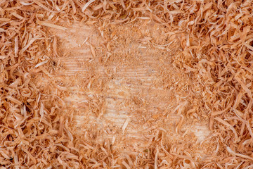 Wooden sawdust on wooden background
