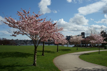 Spring to action for 2020