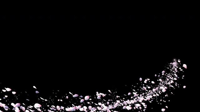 Cherry Blossom Realistic Petals Falling .3D rendering.Element footage.Easy to use and change color. This work has alpha matte
