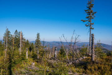 Old ruined forest on mountain top, Czech and slovakia border Velky Polom