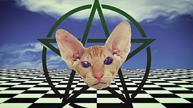 Looped seamless footage for your event, concert, stage design, title, presentation, site, DVD, designers, editors and VJ s for led screens and projection mapping show. Satan's angry cat smiles