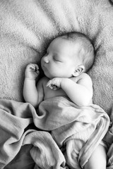 Newborn baby peacefully sleeping under the blanket