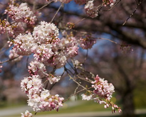 Spring to action for 2020