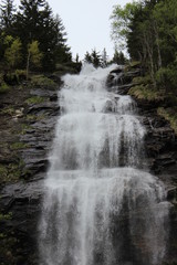 Fototapeta premium Fall