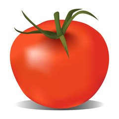 Realistic voluminous red tomato isolated on a white background. Element for menu design. Healthy vegetarian food. Vector illustration