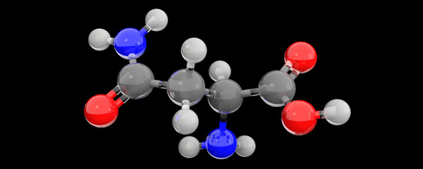 3d glass chemical structure of asparagine molecule
