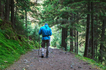Obraz premium Lone traveler on a forest trail in the mountains