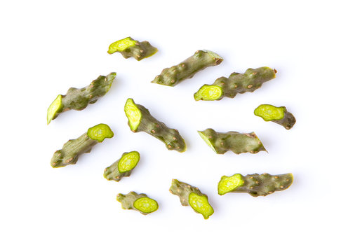 tinospora cordifolia or bora phet (thai name) with green leaves isolated on white background
