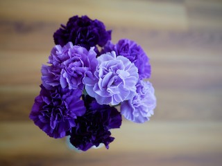 Purple Carnations