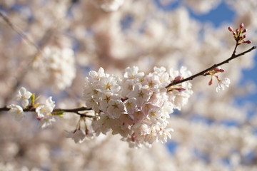 Spring to action for 2020