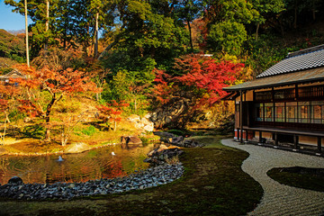 Obraz premium 円覚寺 EngakujiTemple