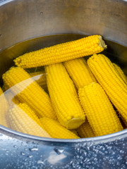 pot with fresh ripe corn boiled in water