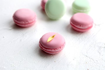 A french sweet delicacy, colorful macaroons variety closeup with flowers on white backround. Tasty macaroon colourful texture.