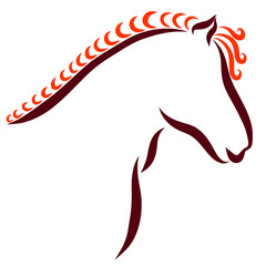 head of a muscular horse with a creative hairstyle on a mane © YuliaRafael Nazaryan