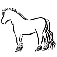 young thoroughbred strong horse, black outline on a white background
