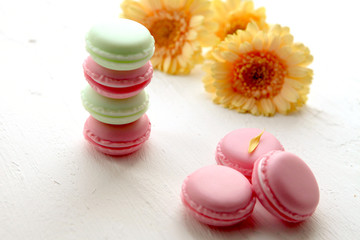 A french sweet delicacy, colorful macaroons variety closeup with flowers on white backround. Tasty macaroon colourful texture.