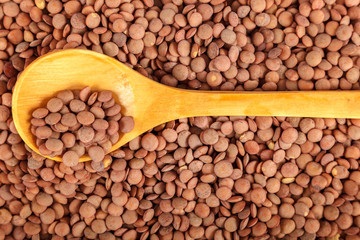 Grains of lentils with a wooden spoon as a background