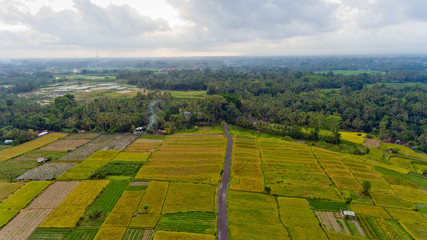Beautiful landscape with balinese village and rice fields, Bali, Indonesia. Sunset. Aerial view.