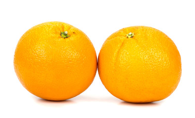 two oranges on a white background