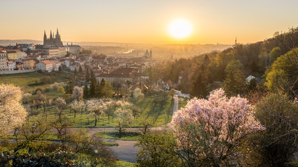 Scenic view of Prague cityscape during sunrise in spring. Towers of St Vitus and St. Nicholas church seen from Petrin hill viewpoint. 