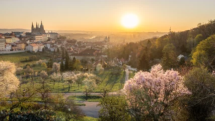 Rolgordijnen Scenic view of Prague cityscape during sunrise in spring. Towers of St Vitus and St. Nicholas church seen from Petrin hill viewpoint.  © hopsalka