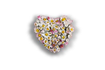 White Grass Flower in Heart shape - White