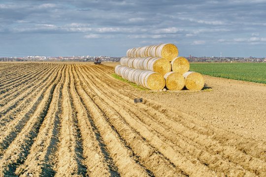 sadzenie ziemniak&oacute;w, pole rządk&oacute;w posadzonych ziemniak&oacute;w, bele sprasowanej słomy, wiosenne prace polowe