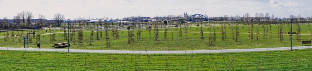 widok panoramiczny na świeżo założony park, zielona trawa wśród nowo posadzonych drzew, świezka rowerowa w parku