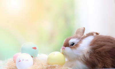 Rabbits and easter eggs, background for easter day