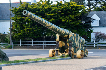 Canon camoufl&eacute;