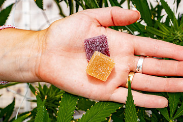 edibles marijuana