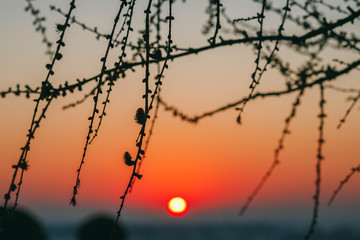 magical sunrise in the clear sky