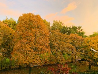 autumn in the park